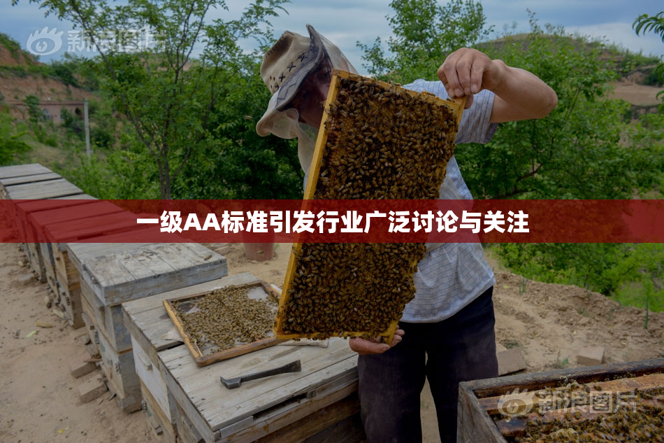 一级AA标准引发行业广泛讨论与关注