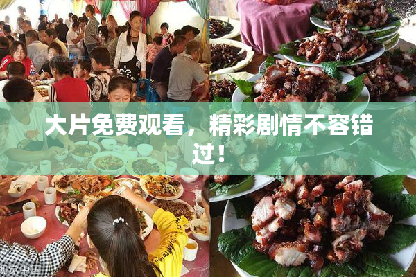 大片免费观看，精彩剧情不容错过！