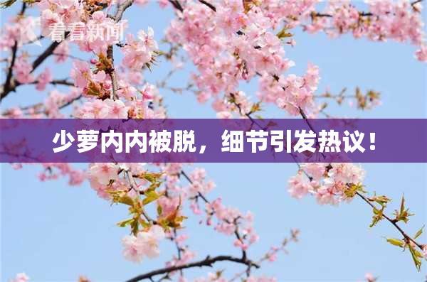 少萝内内被脱，细节引发热议！