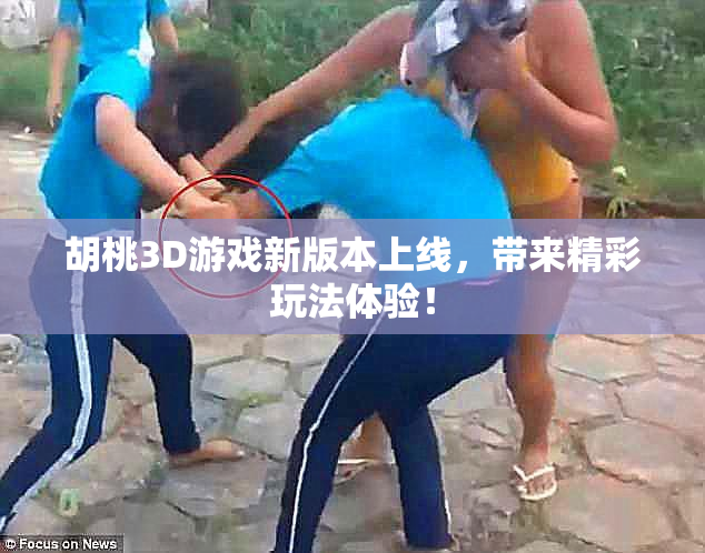 胡桃3D游戏新版本上线，带来精彩玩法体验！