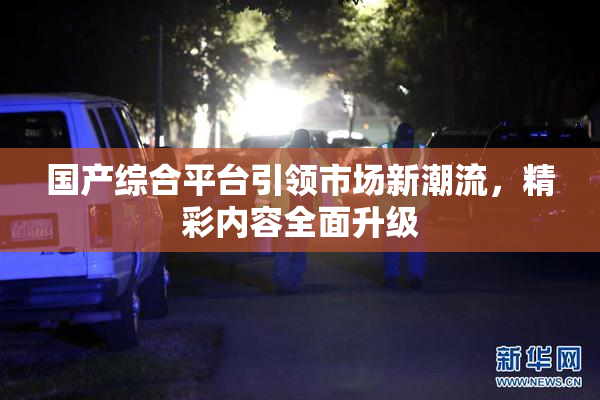 国产综合平台引领市场新潮流，精彩内容全面升级