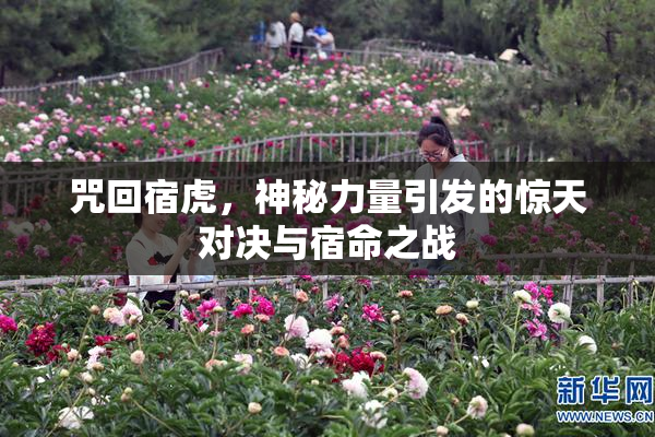 咒回宿虎，神秘力量引发的惊天对决与宿命之战