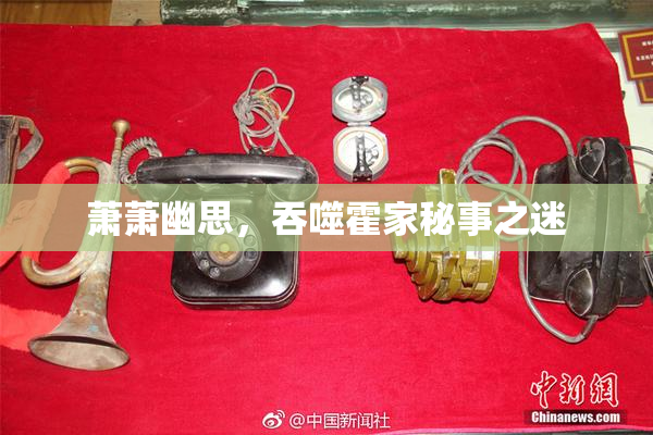 萧萧幽思，吞噬霍家秘事之迷
