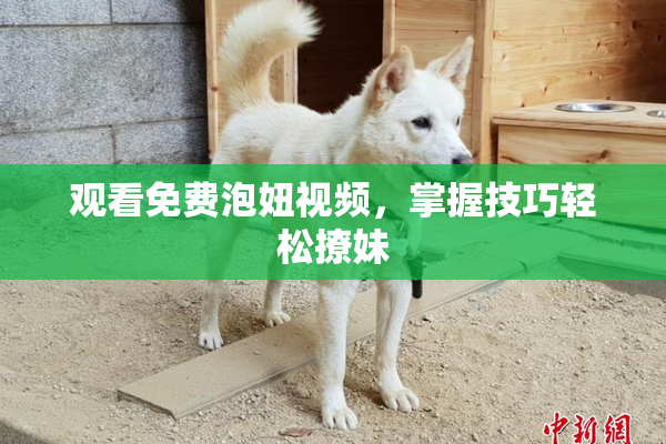 观看免费泡妞视频，掌握技巧轻松撩妹