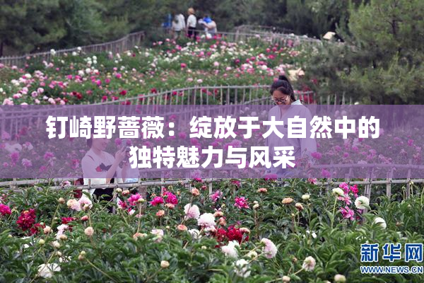 钉崎野蔷薇：绽放于大自然中的独特魅力与风采