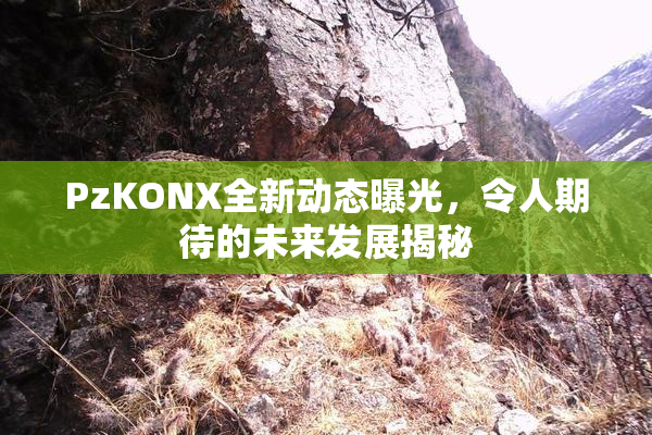 PzKONX全新动态曝光，令人期待的未来发展揭秘