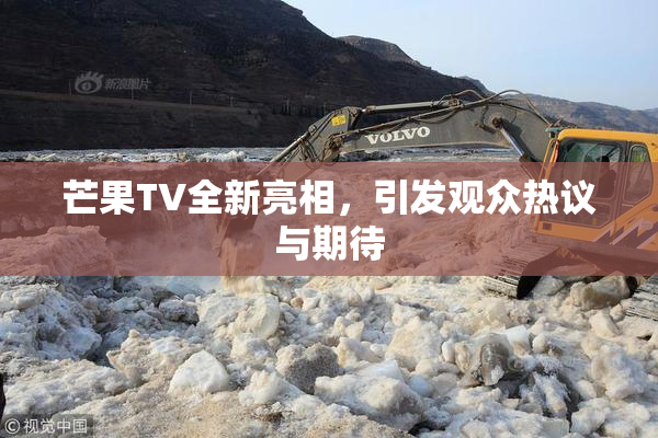 芒果TV全新亮相，引发观众热议与期待