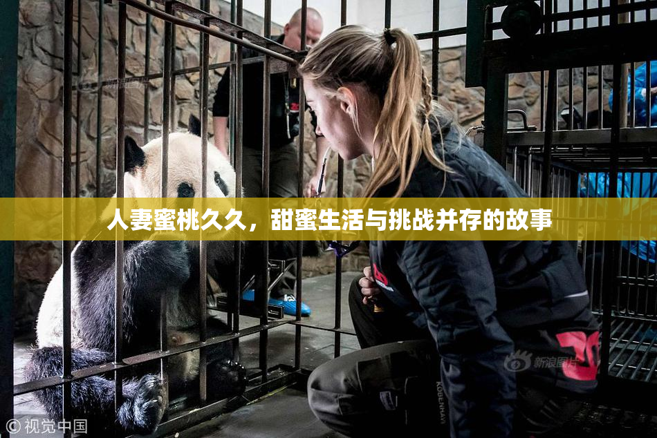 人妻蜜桃久久，甜蜜生活与挑战并存的故事