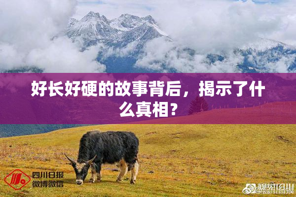 好长好硬的故事背后，揭示了什么真相？