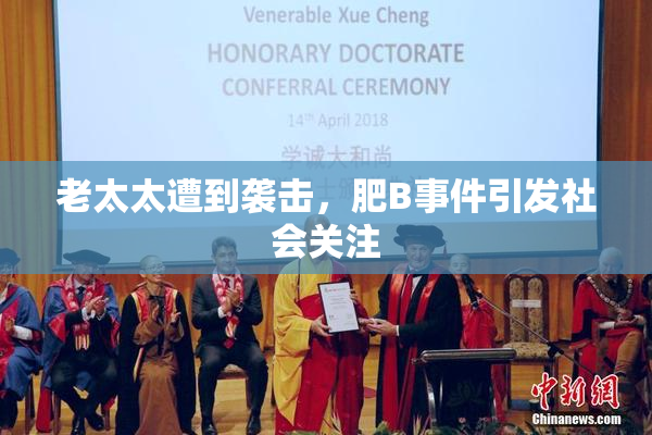 老太太遭到袭击，肥B事件引发社会关注