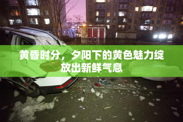 黄昏时分，夕阳下的黄色魅力绽放出新鲜气息