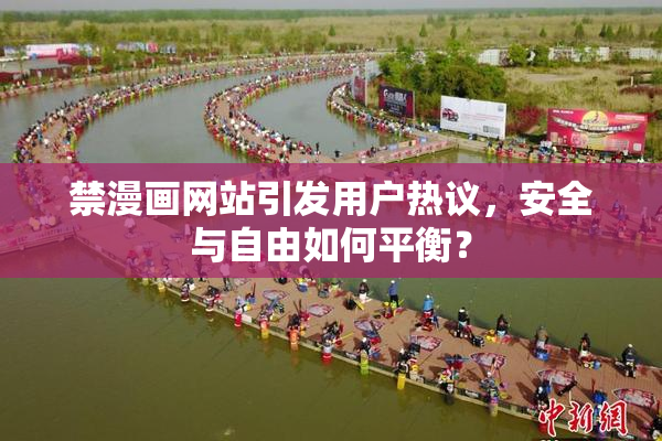 禁漫画网站引发用户热议，安全与自由如何平衡？