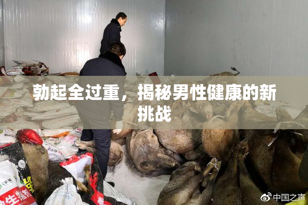 勃起全过重，揭秘男性健康的新挑战