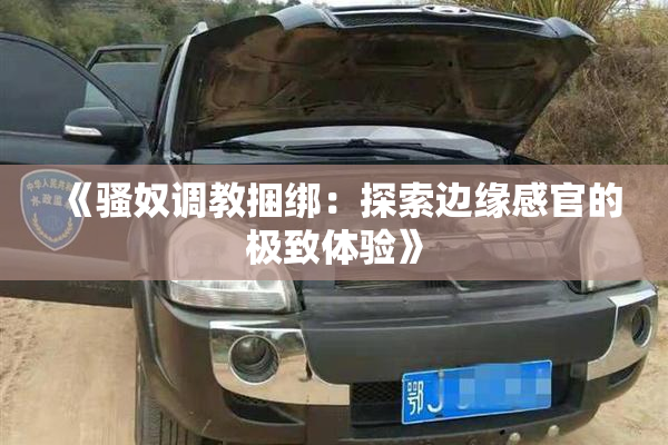 《骚奴调教捆绑：探索边缘感官的极致体验》