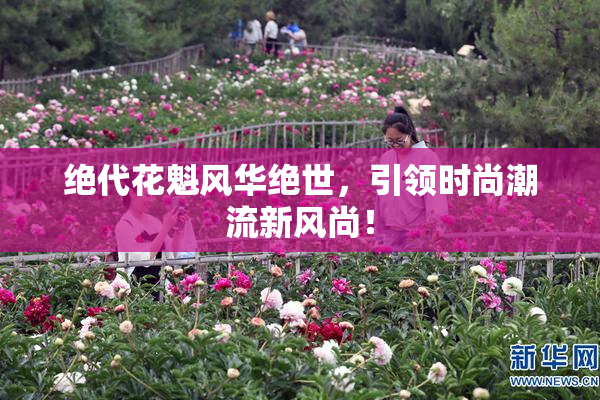 绝代花魁风华绝世，引领时尚潮流新风尚！