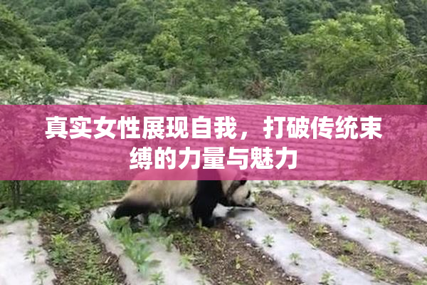 真实女性展现自我，打破传统束缚的力量与魅力