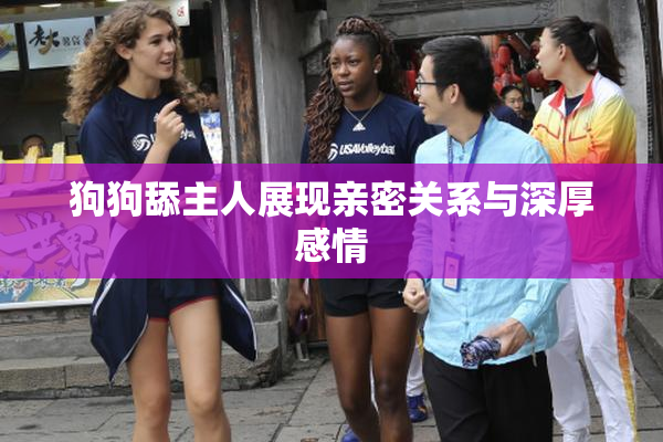 狗狗舔主人展现亲密关系与深厚感情