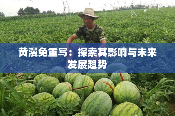 黄漫免重写：探索其影响与未来发展趋势