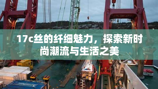17c丝的纤细魅力，探索新时尚潮流与生活之美