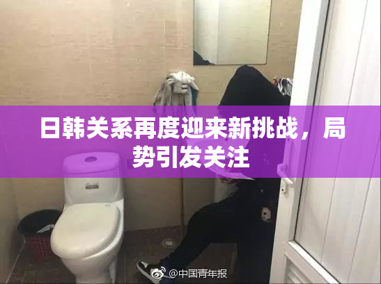 日韩关系再度迎来新挑战，局势引发关注