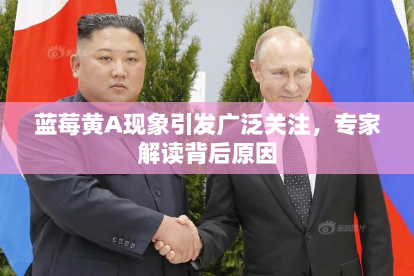 蓝莓黄A现象引发广泛关注，专家解读背后原因