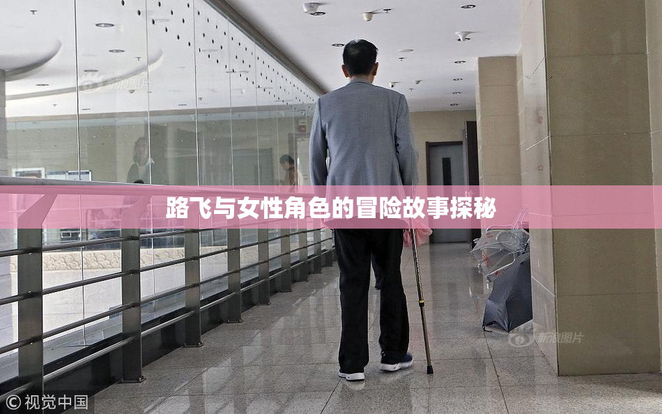 路飞与女性角色的冒险故事探秘