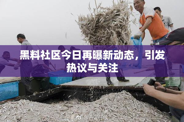 黑料社区今日再曝新动态，引发热议与关注