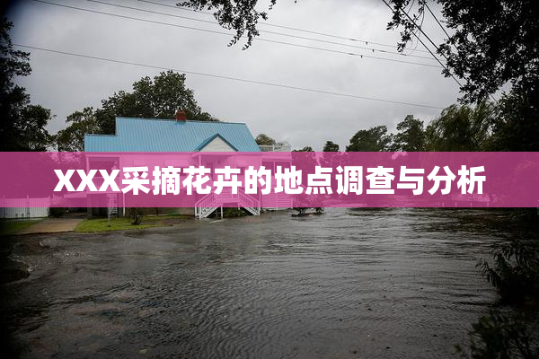 XXX采摘花卉的地点调查与分析