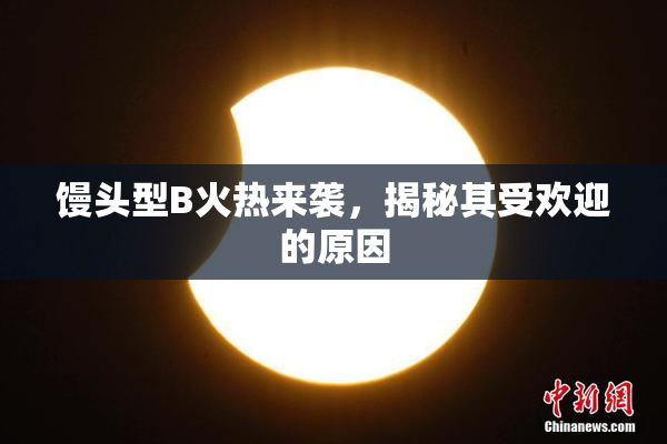 馒头型B火热来袭，揭秘其受欢迎的原因