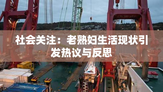 社会关注：老熟妇生活现状引发热议与反思