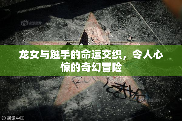 龙女与触手的命运交织，令人心惊的奇幻冒险