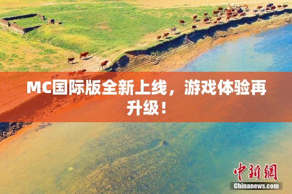 MC国际版全新上线，游戏体验再升级！