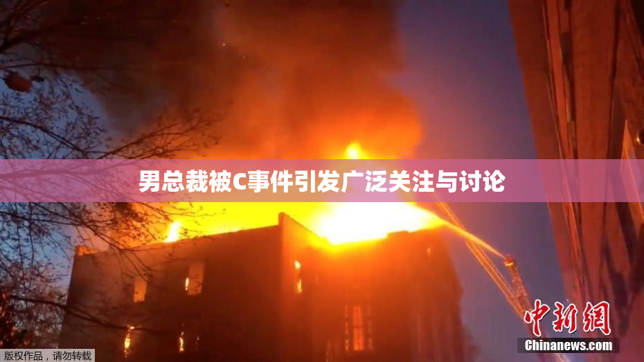 男总裁被C事件引发广泛关注与讨论