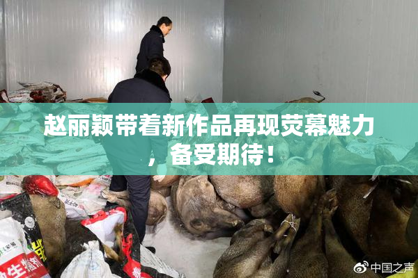 赵丽颖带着新作品再现荧幕魅力，备受期待！