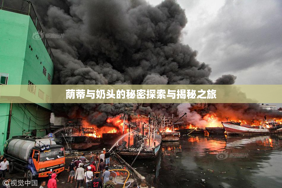 荫蒂与奶头的秘密探索与揭秘之旅