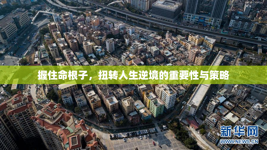 握住命根子，扭转人生逆境的重要性与策略