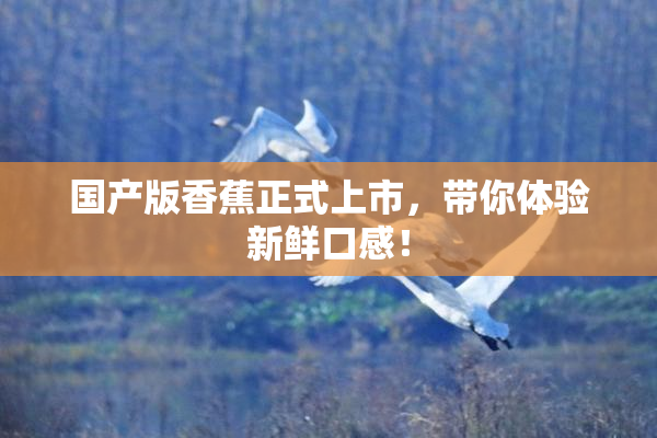 国产版香蕉正式上市，带你体验新鲜口感！