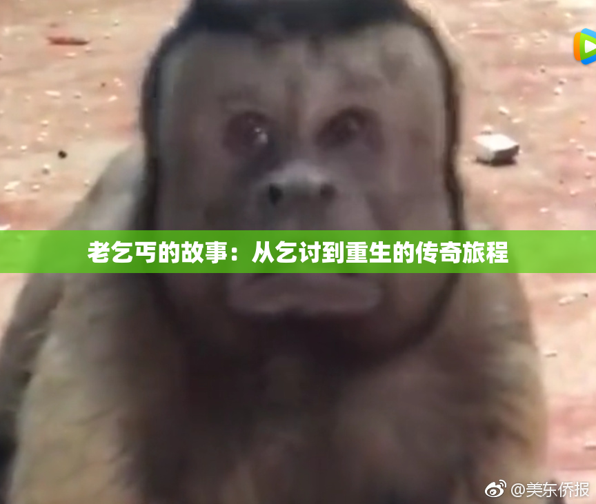 老乞丐的故事：从乞讨到重生的传奇旅程