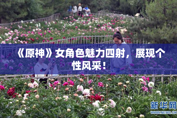 《原神》女角色魅力四射，展现个性风采！