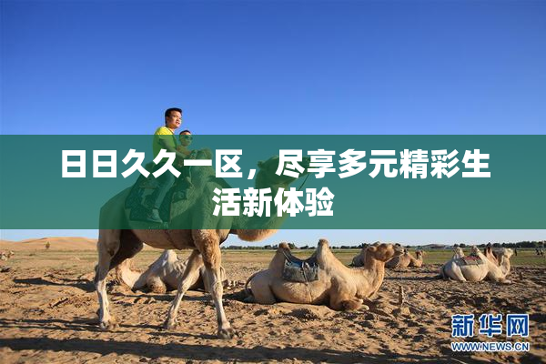 日日久久一区，尽享多元精彩生活新体验