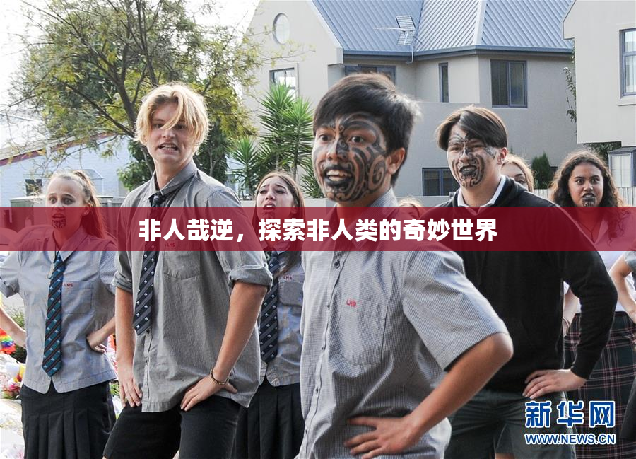 非人哉逆，探索非人类的奇妙世界
