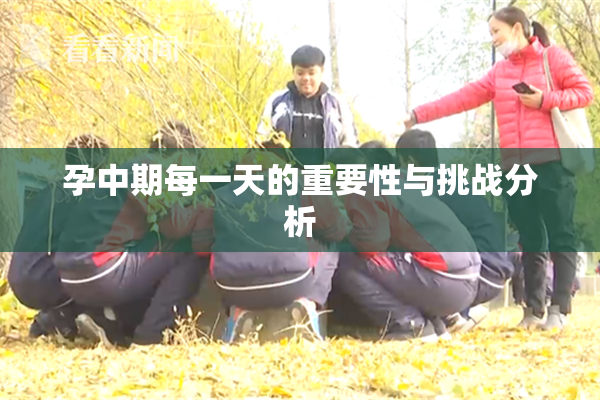 孕中期每一天的重要性与挑战分析