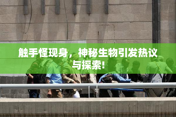 触手怪现身，神秘生物引发热议与探索!