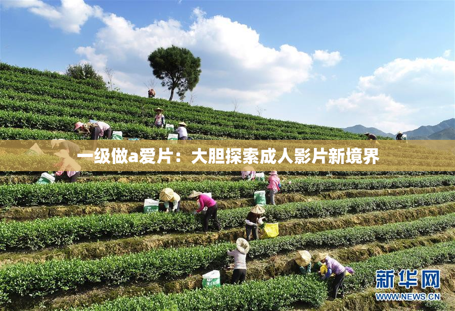一级做a爱片：大胆探索成人影片新境界