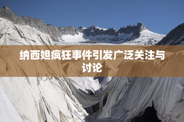 纳西妲疯狂事件引发广泛关注与讨论