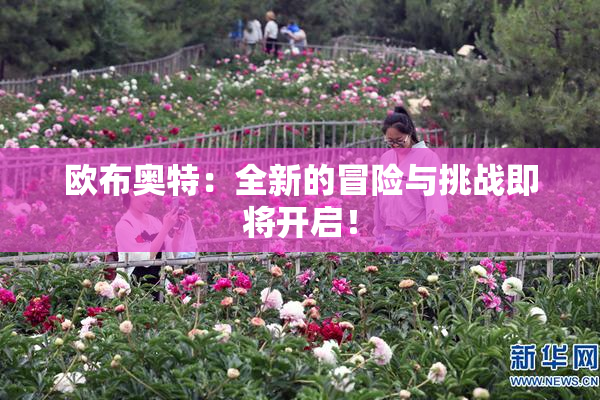 欧布奥特：全新的冒险与挑战即将开启！