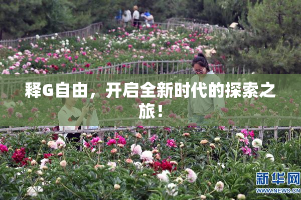 释G自由，开启全新时代的探索之旅！