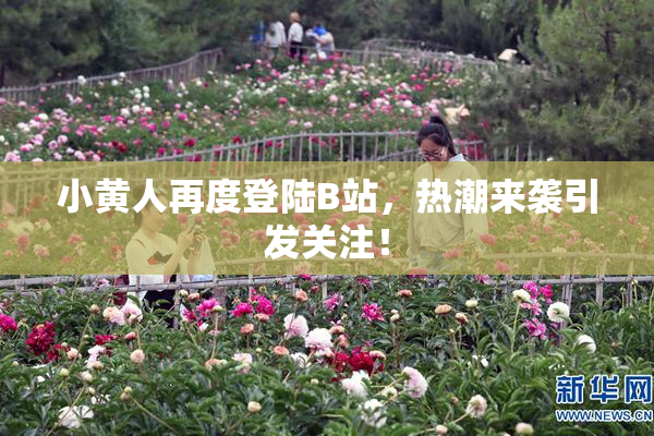 小黄人再度登陆B站，热潮来袭引发关注！