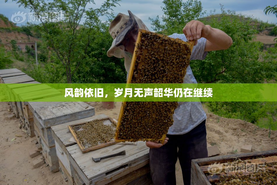 风韵依旧，岁月无声韶华仍在继续