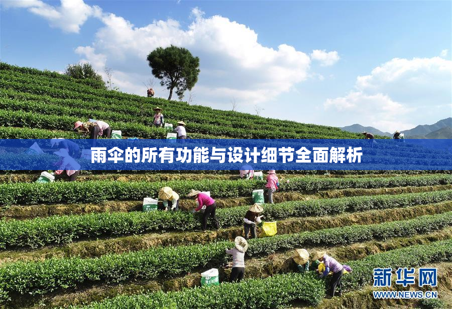 雨伞的所有功能与设计细节全面解析